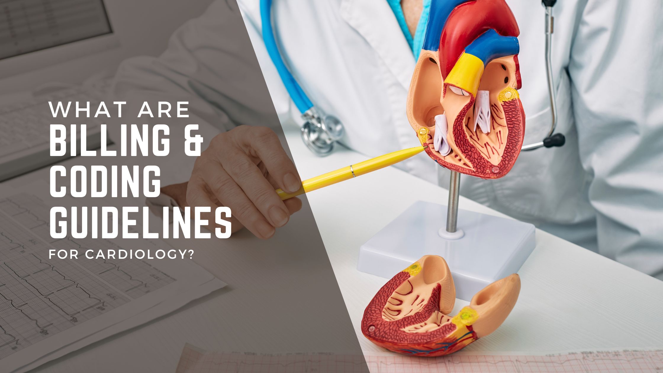 What Are the Billing and Coding Guidelines for Cardiology?